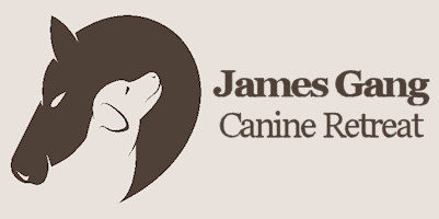 Kennel, Daycare and Grooming